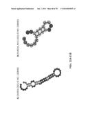 APTAMERS AND USES THEREOF diagram and image