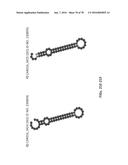 APTAMERS AND USES THEREOF diagram and image