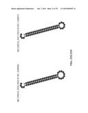 APTAMERS AND USES THEREOF diagram and image