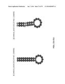 APTAMERS AND USES THEREOF diagram and image