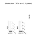 APTAMERS AND USES THEREOF diagram and image