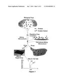 INTEGRATED HIGH THROUGHPUT SYSTEM FOR THE ANALYSIS OF BIOMOLECULES diagram and image