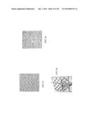 SYSTEM AND PROCESSOR IMPLEMENTED METHOD FOR IMPROVED IMAGE QUALITY AND     GENERATING AN IMAGE OF A TARGET ILLUMINATED BY QUANTUM PARTICLES diagram and image