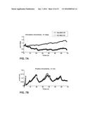 EXTRINSIC PARAMETER CALIBRATION OF A VISION-AIDED INERTIAL NAVIGATION     SYSTEM diagram and image