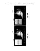 SYSTEMS AND METHODS FOR APPEARANCE MAPPING FOR COMPOSITING OVERLAY     GRAPHICS diagram and image