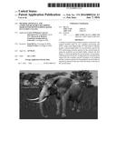 METHOD, APPARATUS, AND COMPUTER-READABLE RECORDING MEDIUM FOR DEPTH     WARPING BASED OCCLUSION CULLING diagram and image