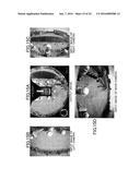 PERIMETER-MONITORING DEVICE FOR WORKING MACHINE diagram and image