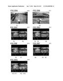 PERIMETER-MONITORING DEVICE FOR WORKING MACHINE diagram and image