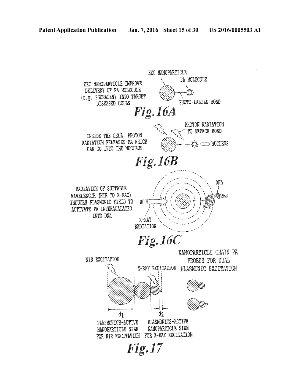 PLASMONIC ASSISTED SYSTEMS AND METHODS FOR INTERIOR ENERGY-ACTIVATION FROM     AN EXTERIOR SOURCE - diagram, schematic, and image 16