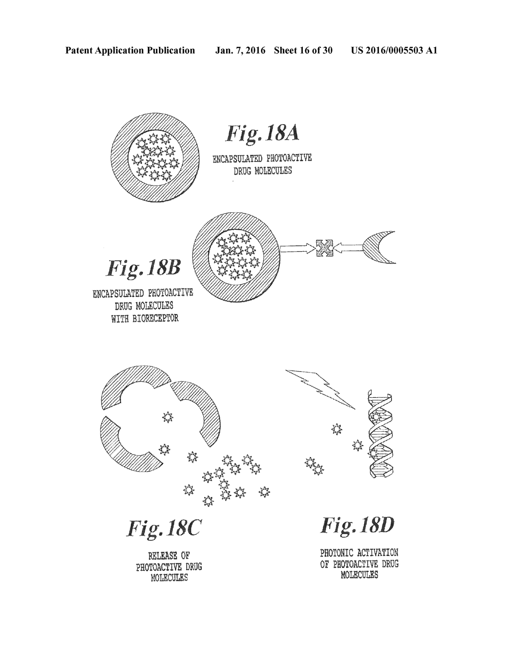 PLASMONIC ASSISTED SYSTEMS AND METHODS FOR INTERIOR ENERGY-ACTIVATION FROM     AN EXTERIOR SOURCE - diagram, schematic, and image 17