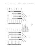 NETWORK-ON-CHIP BASED COMPUTING DEVICES AND SYSTEMS diagram and image