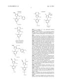 Combination product for controlling parasites on animals diagram and image