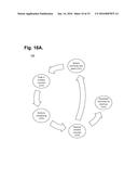 Ambulatory Electrocardiography Monitoring Patch Optimized For Capturing     Low Amplitude Cardiac Action Potential Propagation diagram and image