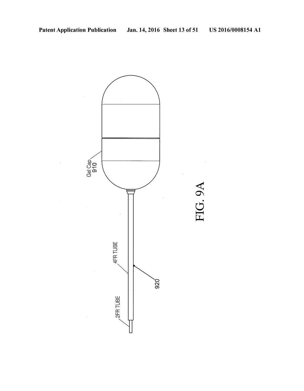 INTRAGASTRIC DEVICE - diagram, schematic, and image 14