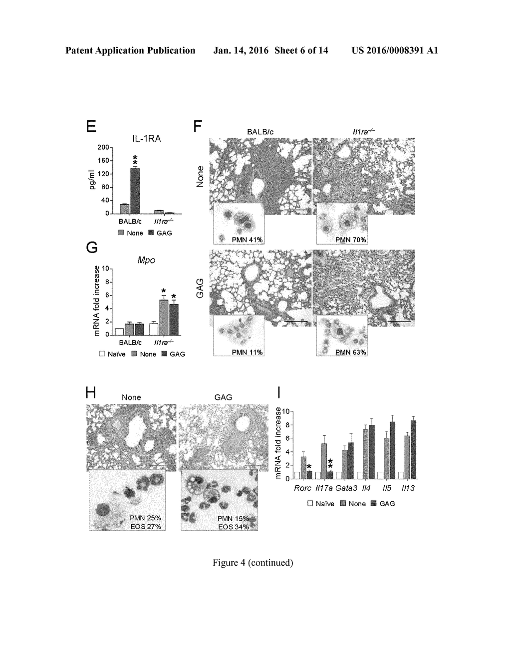 GALACTOSAMINOGALACTAN COMPRISING alpha-1-4 LINKED GALACTOSE AND alpha-1-4     LINKED N-ACETYLGALACTOSAMINE FOR USE IN THE TREATMENT OF AT LEAST ONE     INFLAMMATORY DISEASE - diagram, schematic, and image 07