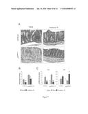 GALACTOSAMINOGALACTAN COMPRISING alpha-1-4 LINKED GALACTOSE AND alpha-1-4     LINKED N-ACETYLGALACTOSAMINE FOR USE IN THE TREATMENT OF AT LEAST ONE     INFLAMMATORY DISEASE diagram and image