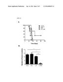 COMPOSITION FOR PREVENTING OR TREATING B-CELL LYMPHOMA COMPRISING IL-21     EXPRESSING MESENCHYMAL STEM CELLS diagram and image