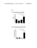 COMPOSITION FOR PREVENTING OR TREATING B-CELL LYMPHOMA COMPRISING IL-21     EXPRESSING MESENCHYMAL STEM CELLS diagram and image