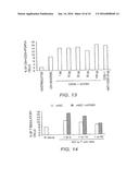 Use of CD83 in Combination Therapies diagram and image