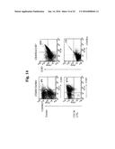 XBP1, CD138, AND CS1 PEPTIDES diagram and image