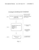 COMPOSITIONS AND METHODS OF IDENTIFYING TUMOR SPECIFIC NEOANTIGENS diagram and image