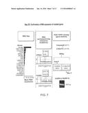 COMPOSITIONS AND METHODS OF IDENTIFYING TUMOR SPECIFIC NEOANTIGENS diagram and image