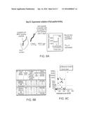 COMPOSITIONS AND METHODS OF IDENTIFYING TUMOR SPECIFIC NEOANTIGENS diagram and image