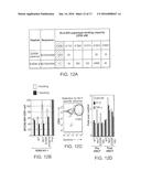 COMPOSITIONS AND METHODS OF IDENTIFYING TUMOR SPECIFIC NEOANTIGENS diagram and image