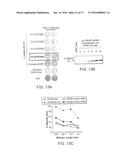 COMPOSITIONS AND METHODS OF IDENTIFYING TUMOR SPECIFIC NEOANTIGENS diagram and image