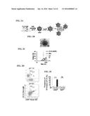 NANOPARTICLE-BASED COMPOSITIONS diagram and image