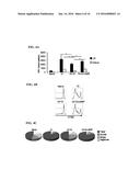 NANOPARTICLE-BASED COMPOSITIONS diagram and image