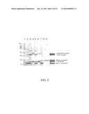 MOLECULAR ANTIGEN ARRAY diagram and image