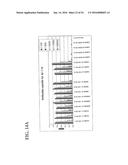 MOLECULAR ANTIGEN ARRAY diagram and image