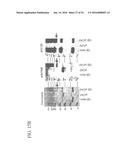 MOLECULAR ANTIGEN ARRAY diagram and image