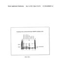 MOLECULAR ANTIGEN ARRAY diagram and image