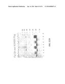 MOLECULAR ANTIGEN ARRAY diagram and image