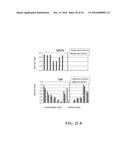 MOLECULAR ANTIGEN ARRAY diagram and image