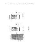 MOLECULAR ANTIGEN ARRAY diagram and image