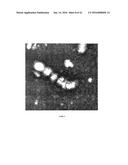 FUNCTIONAL INFLUENZA VIRUS-LIKE PARTICLES (VLPS) diagram and image