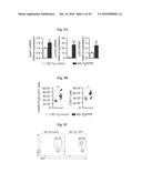 REDUCING SYSTEMIC REGULATORY T CELL LEVELS OR ACTIVITY FOR TREATMENT OF     DISEASE AND INJURY OF THE CNS diagram and image