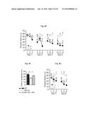 REDUCING SYSTEMIC REGULATORY T CELL LEVELS OR ACTIVITY FOR TREATMENT OF     DISEASE AND INJURY OF THE CNS diagram and image