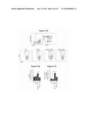 REDUCING SYSTEMIC REGULATORY T CELL LEVELS OR ACTIVITY FOR TREATMENT OF     DISEASE AND INJURY OF THE CNS diagram and image