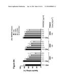 THERAPY INVOLVING ANTIBODIES AGAINST CLAUDIN 18.2 FOR TREATMENT OF CANCER diagram and image