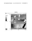 IMMEDIATE RELEASE PHARMACEUTICAL FORMULATION OF     4-[3-(4-CYCLOPROPANECARBONYL-PIPERAZINE-1-CARBONYL)-4-FLUORO-BENZYL]-2H-P-    HTHALAZIN-1-ONE diagram and image