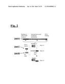 SELF-ASSEMBLING COMPLEX FOR TARGETING CHEMICAL AGENTS TO CELLS diagram and image