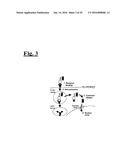 SELF-ASSEMBLING COMPLEX FOR TARGETING CHEMICAL AGENTS TO CELLS diagram and image