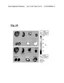 SELF-ASSEMBLING COMPLEX FOR TARGETING CHEMICAL AGENTS TO CELLS diagram and image