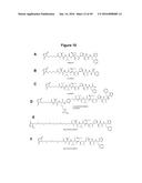 Engineered Antibody Constant Regions for Site-Specific Conjugation and     Methods and Uses Therefor diagram and image