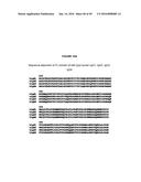 Engineered Antibody Constant Regions for Site-Specific Conjugation and     Methods and Uses Therefor diagram and image