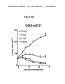 Engineered Antibody Constant Regions for Site-Specific Conjugation and     Methods and Uses Therefor diagram and image